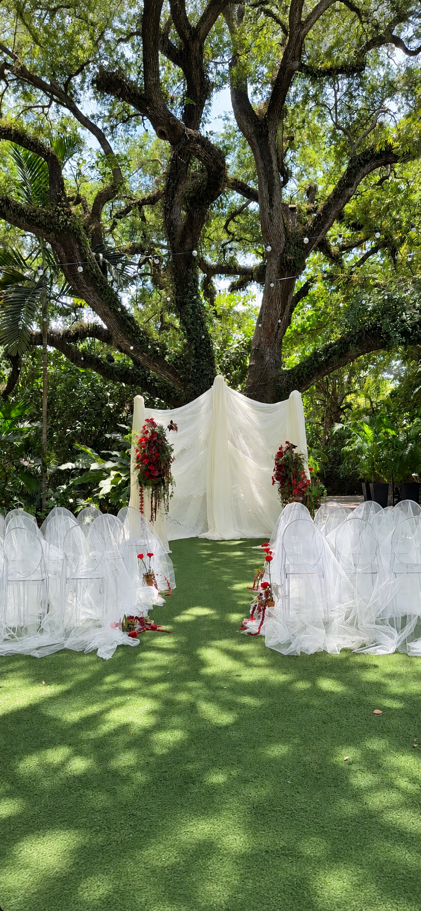 Garden ceremony with ivory draping, red flowers, and sheer-covered chairs
